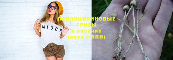 герыч Арсеньев