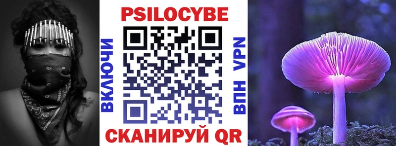 блэк спрут вход  Волхов  Галлюциногенные грибы MAGIC MUSHROOMS  купить наркоту 
