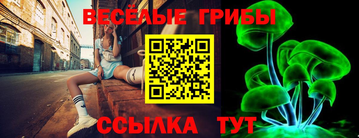 Галлюциногенные грибы Psilocybine cubensis  Псилоцибиновые грибы мухоморы  Волхов  Вход с VPN 